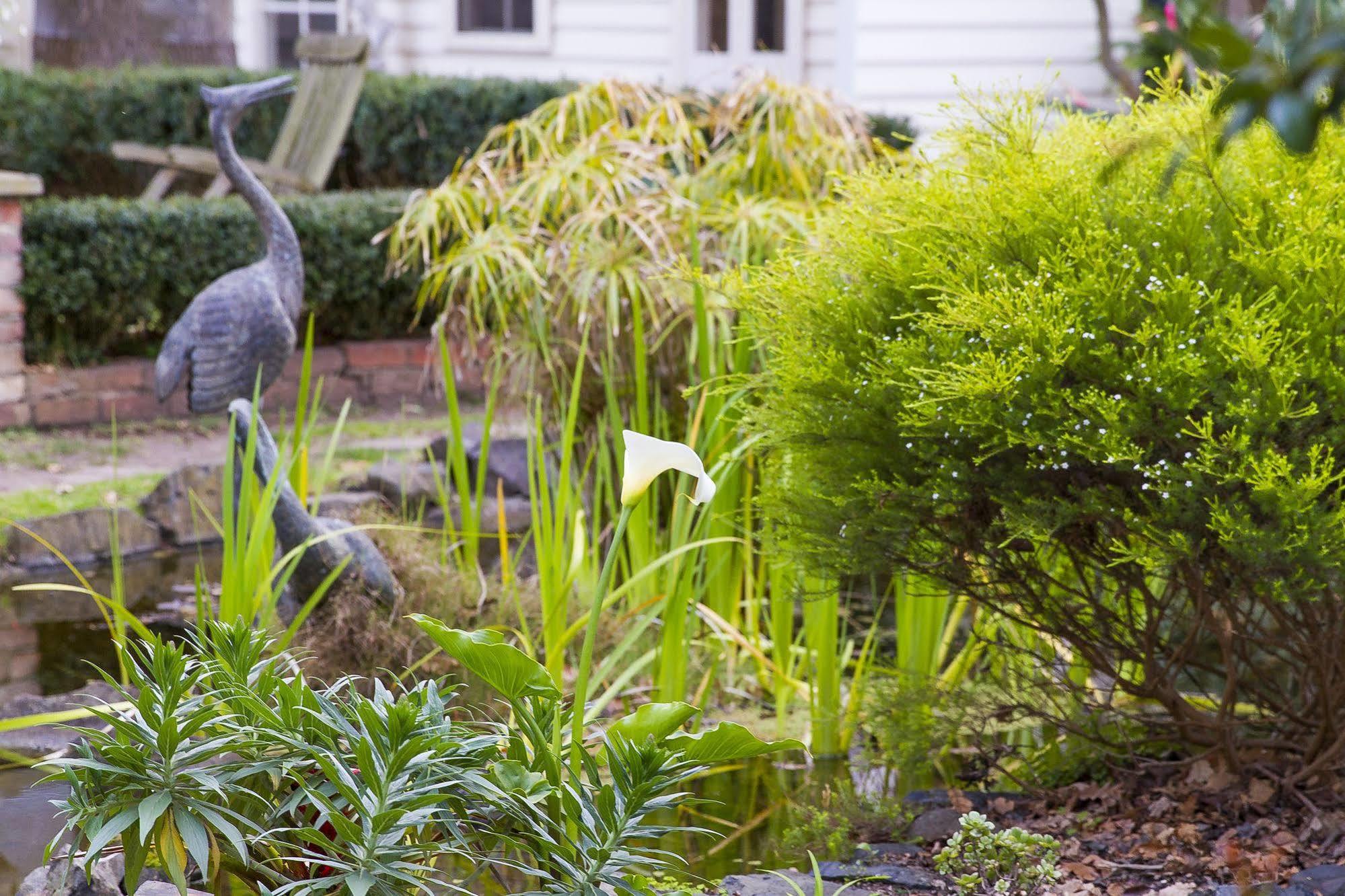 Glen Isla House Bed & Breakfast Phillip Island Cowes Ngoại thất bức ảnh